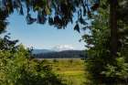 Washington State, Skamania County. Mount St. Helens or Louwala-Clough is an active stratovolcano. Art Print